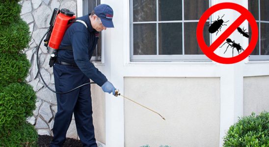 Arapgir Hamam Böceği İlaçlama böcek ilaçlama ve haşere kontrolü — ilaclama-tr.com